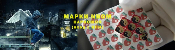 СК Пересвет