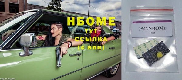 СК Пересвет