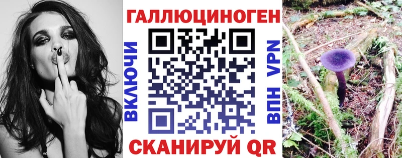 Псилоцибиновые грибы прущие грибы  Петровск-Забайкальский 